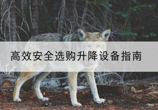 金台升降货梯厂家推荐-*安全选购升降设备指南