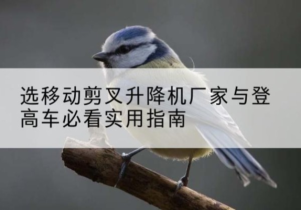 金台电动升降机厂家-选移动剪叉升降机厂家与登高车必看实用指南