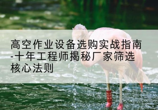 金台剪叉式升降机厂家-高空作业设备选购实战指南-十年工程师揭秘厂家筛选核心法则